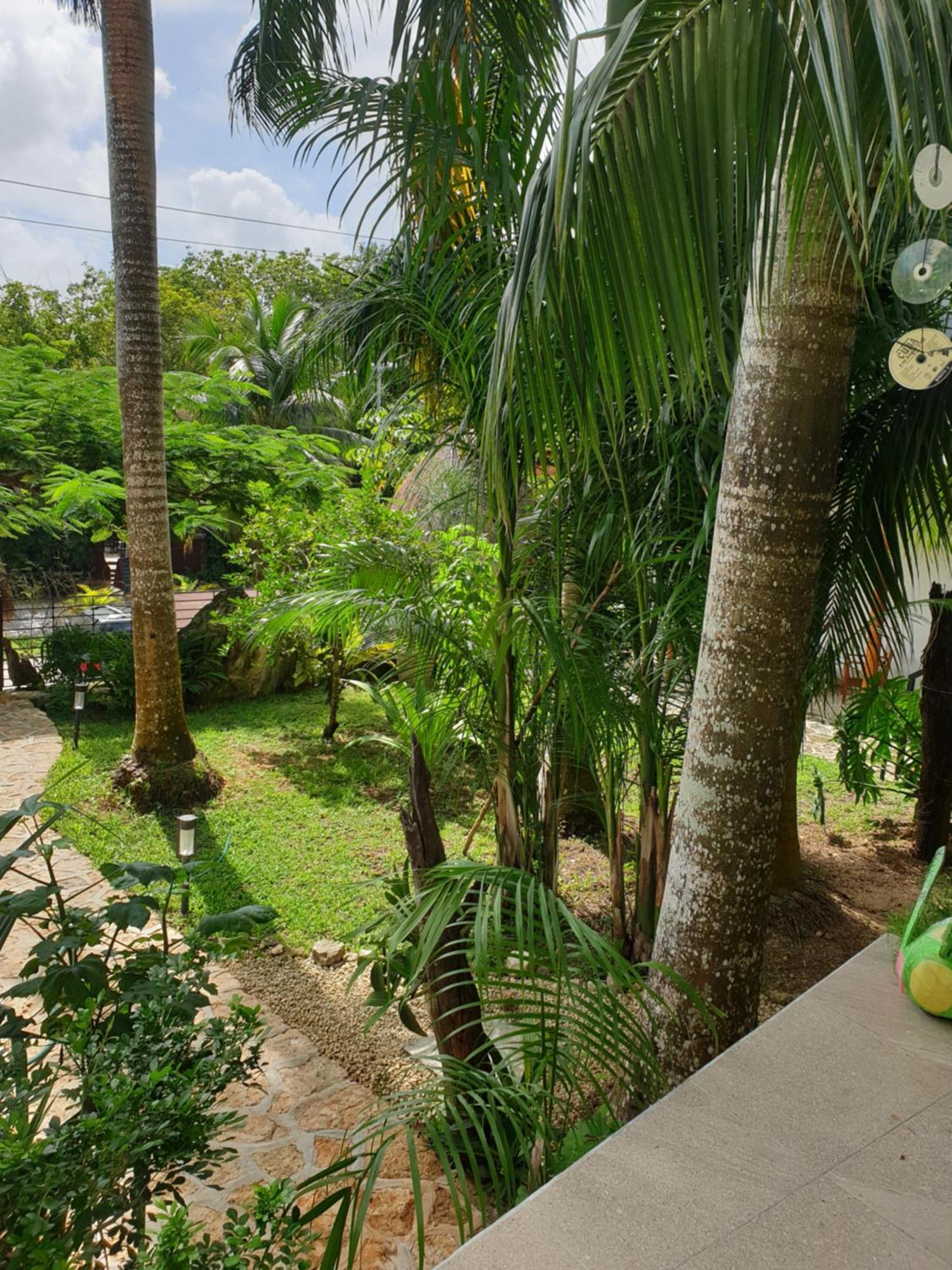 Camino Del Alma Apartments Bacalar Kamer foto